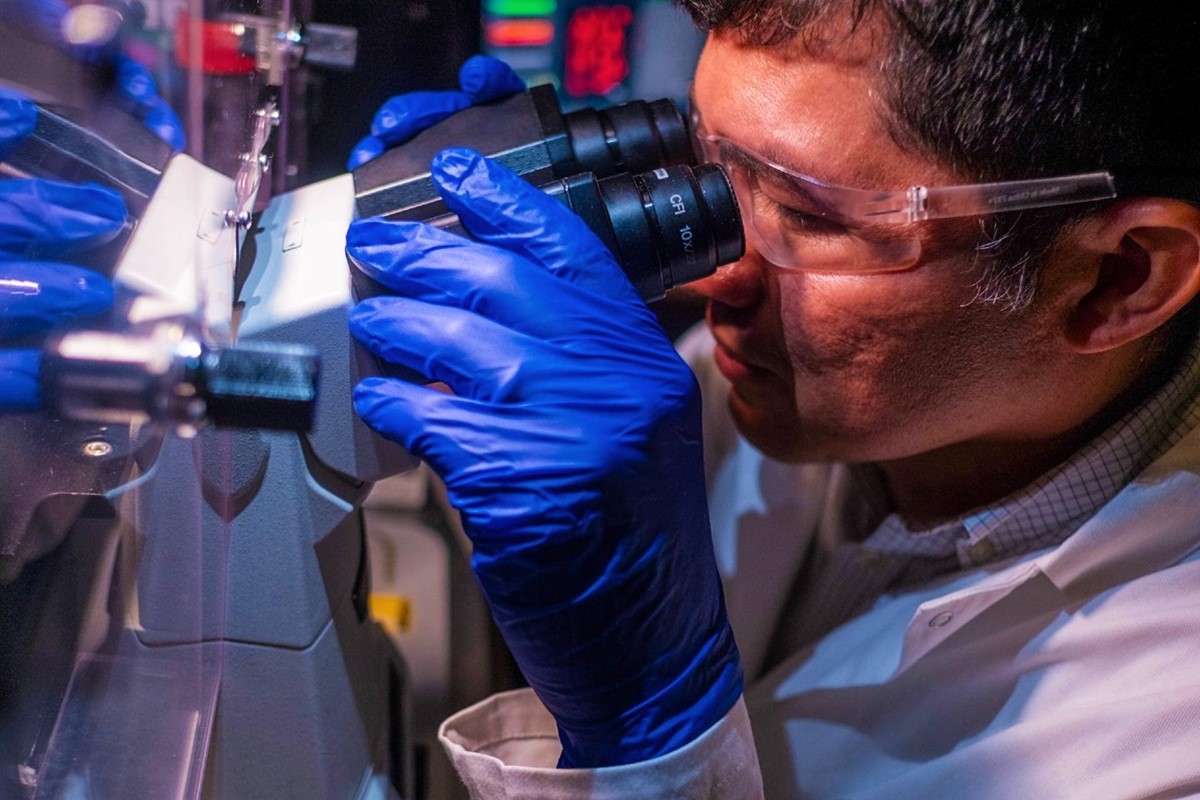 Pristup američkih znanstvenika uspješno je testiran u laboratoriju i na miševima s melanomom 📷 Jeff Fitlow/Rice University