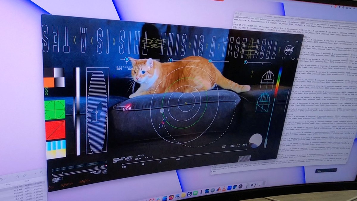 Taters je snimljen kako lovi lasersko svjetlo na kauču u domu svog vlasnika, zaposlenika NASA-in Laboratorija za mlazni pogon 📷 NASA/JPL-Caltech